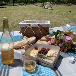 PicnicDay18.jpg