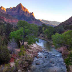 zion-thumb
