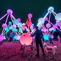 A spider like structure made up of spheres that resemble the structure of DNA. They are lit in soft neon colours. A male with a dog is touching the artwork.