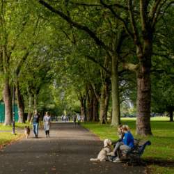 People sitting on benches surrounded by trees on a large walkway