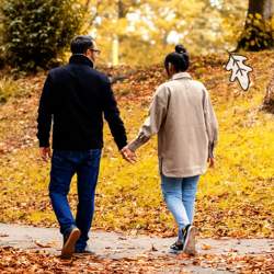 Two people hold hands and walk through a park covered in golden leaves