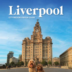 Two dogs sitting in front of The Royal Liver Building with a bright blue sky behind them.