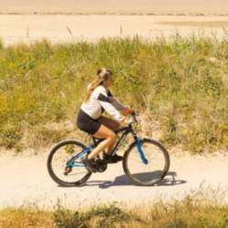 A lady rides a bike on a sandy path next to Sand Dunes