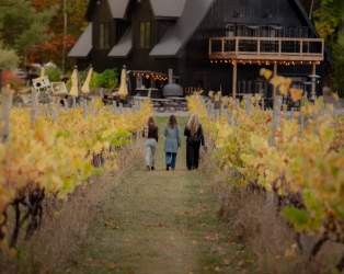 Crow & Vine Winery