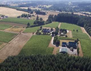 Willamette Valley Wineries Association photo