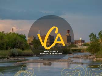 VCA Workshop Info Page