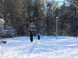Winter Bliss at Pigeon Creek