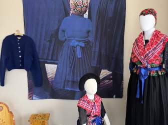 Dutch Life on Display: Tulip Time Festival's Newest Attraction