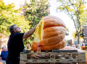 Experience Fall Like a Local in Holland