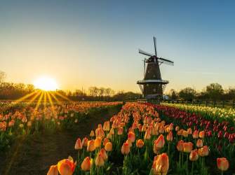 Your Ultimate Packing List for the Holland, Michigan Tulip Time Festival