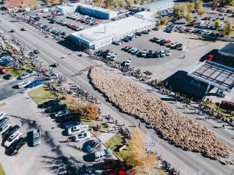 Cedar City Livestock + Heritage Festival - October