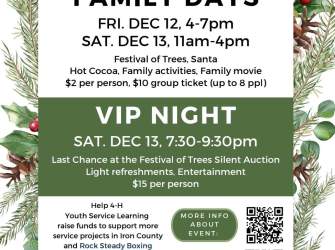 Parowan: Festival of Trees