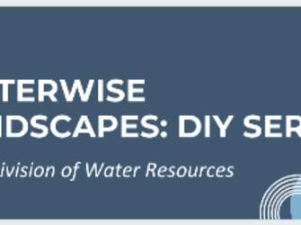 WaterWise Landscapes: DIY Series