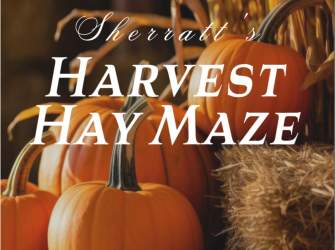 Harvest Hay Maze