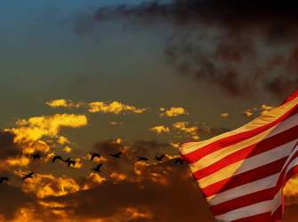 Cedar: Memorial Day Recognition