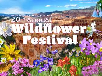 CB: Wildflower Festival