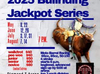 3C Mini Bulls Series