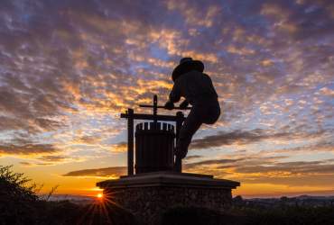 Napa Valley Grape Crusher at sunset