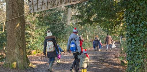 Box Hill walk in Winter James Dobson Box Hill