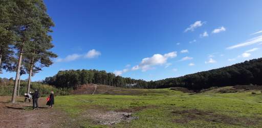 Bourne Wood