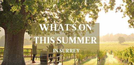 What's on this summer