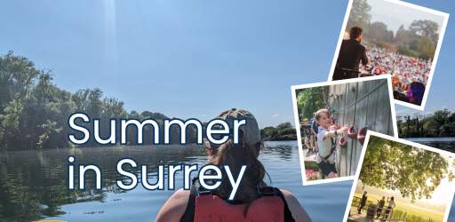 Summer in Surrey