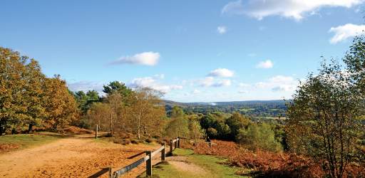 The North Downs near Guildford in Autumn - image Blue Stevens Photography