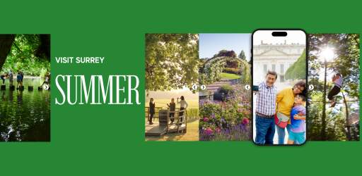 Summer in Surrey hero
