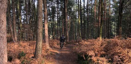Cycling in the Surrey Hills