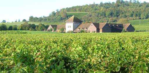 Denbies Wine Estate