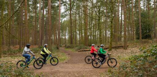 Forest Bike Hire - Alice Holt Go Ape