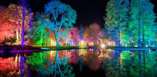 RHS Wisley - Glow