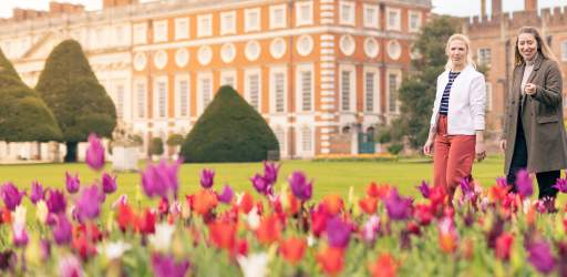 Hampton Court Palace Tulip Festival - Event