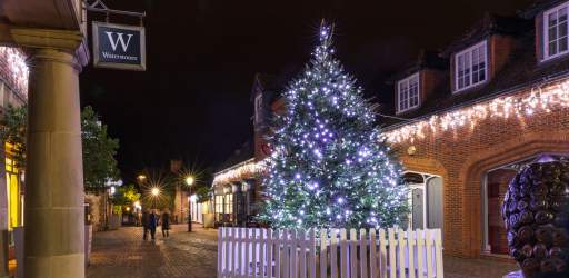 Farnham Christmas Tree
