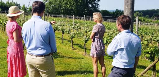 High Clandon Vineyard