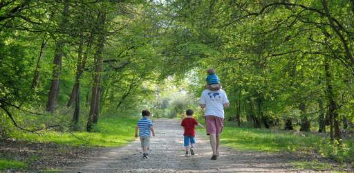 Enjoying a walk at Hatchlands Park - image credit National Trust, Genevieve Aberdeen