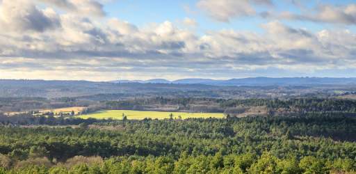 Discover Waverley