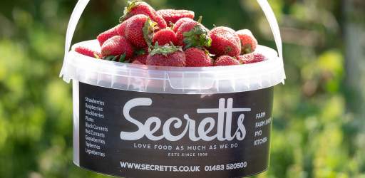 Strawberry picking at Secretts Farm Shop