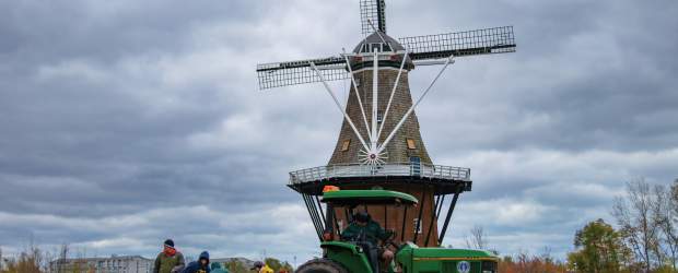 Tulip Planting at WIG