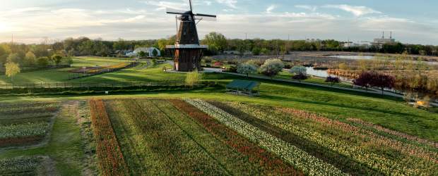 Windmill Island Tulip Time
