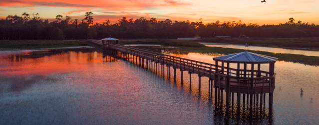 Cattail Marsh - Beaumont