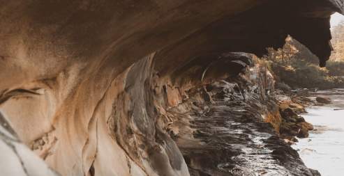 Regional Gems: Must-Do Day Trips From Nanaimo