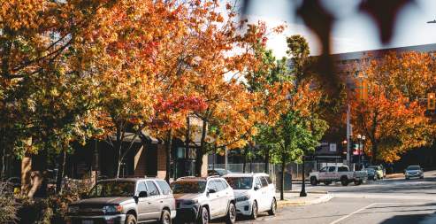 A city street lined with parked cars and trees with bright autumn leaves.