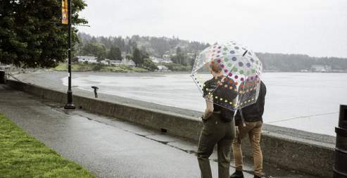 Rainy Day? No Problem!