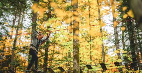 Business Spotlight - Wildplay Nanaimo