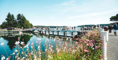 Savouring the Summer in Nanaimo