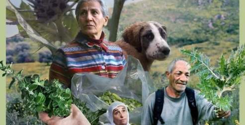 Film Screening: Foragers