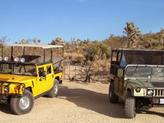 Two Hummers from Adventure Hummer Tours in Joshua Tree, California