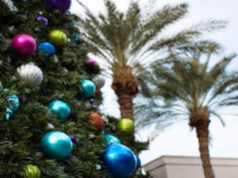 Christmas Tree in Palm Springs
