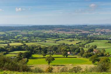 Honiton Free things to do